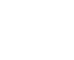 icon 360 view